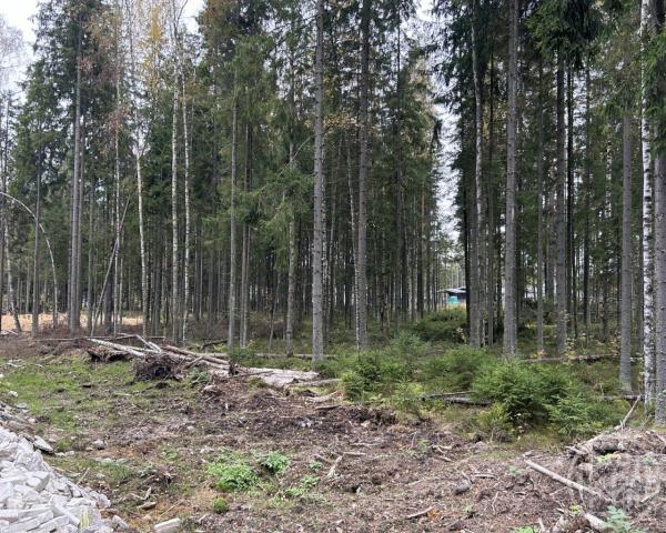 Сертолово г., Медное озеро 3 днп