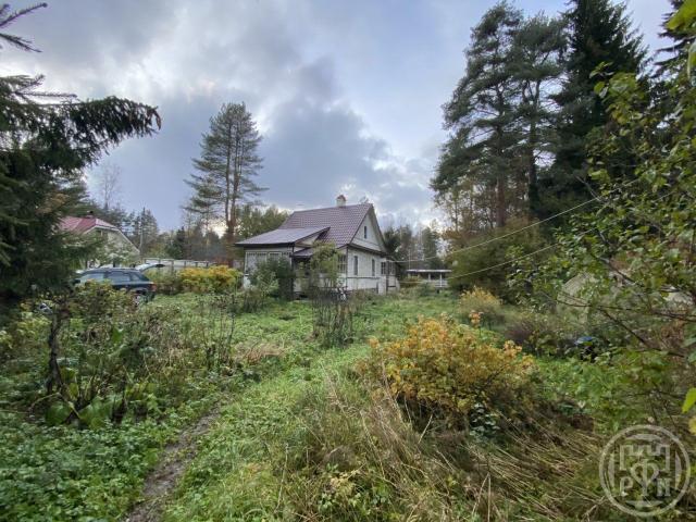 Белоостров массив, Лесное днт