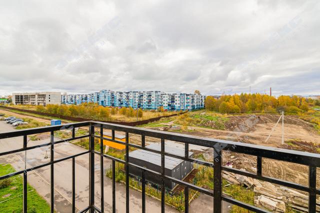 Ленинградская область, Щеглово пос., 89