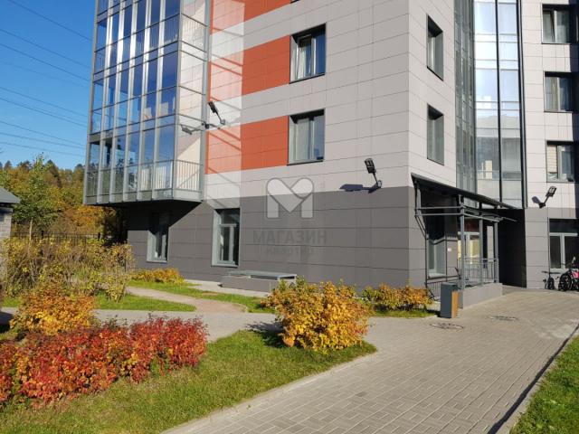 Парголово, Ольгинская дор.