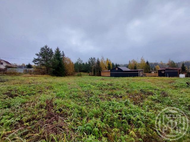 Приречное снт