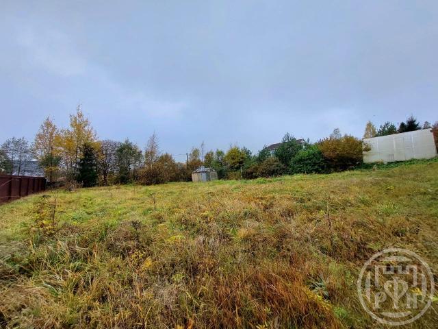 Приречное снт