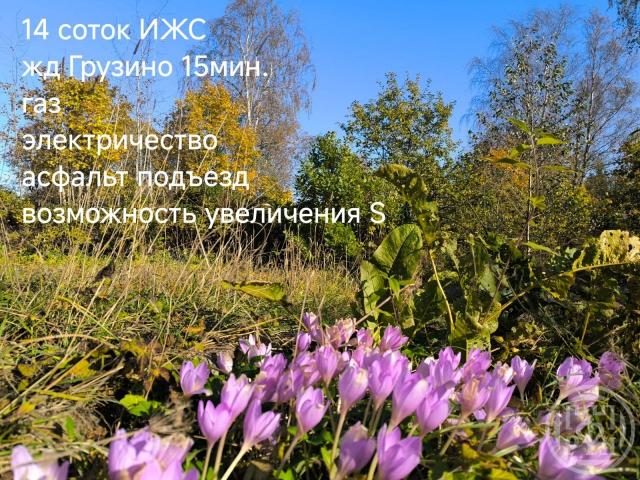 Куйвози дер., Александрова ул.