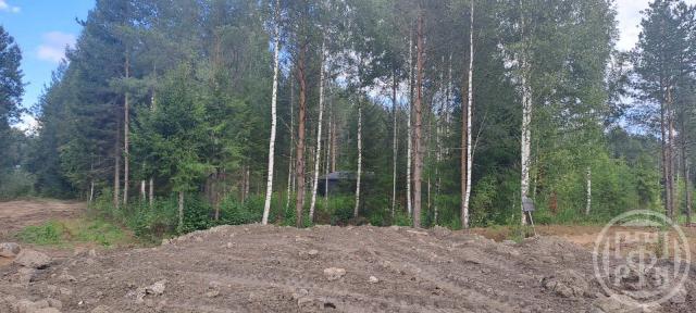 Ойнелово массив