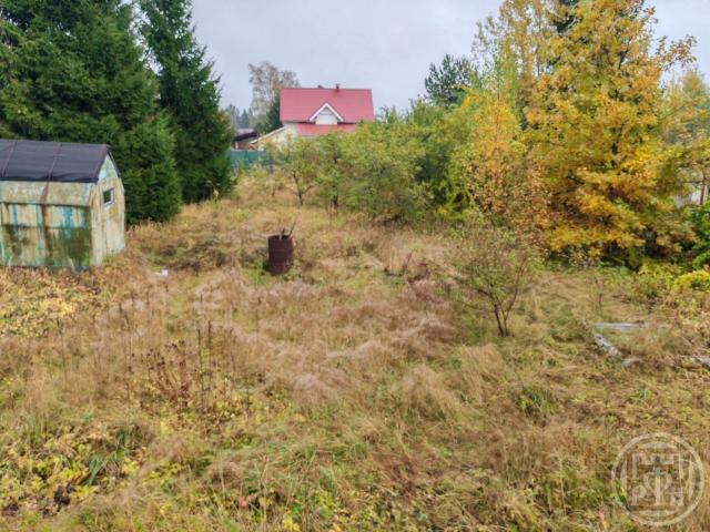 Сирень снт, д 36