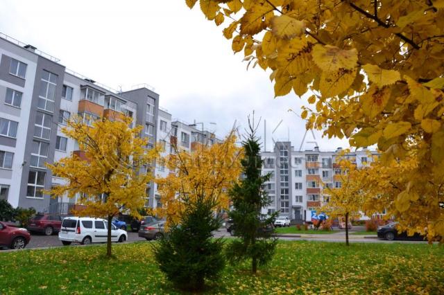 г. Петергоф, ул. Парковая, 20к2