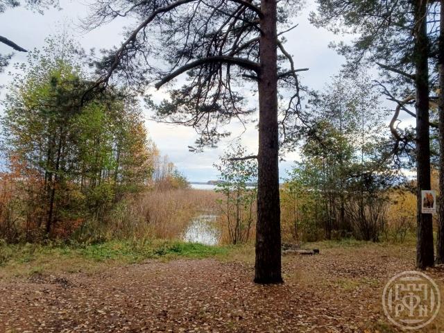 Стрельцово пос.