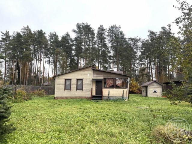 Вырица пос., Елизаветинская ул.