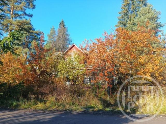 Рощино пос., Безымянный пер., д 1