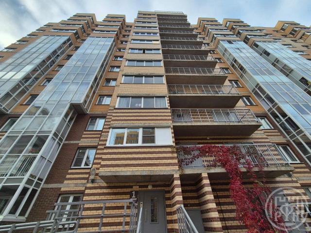 Янино-1 пос., Голландская ул., д 8