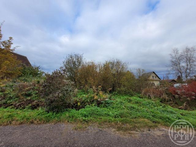 Беляевский мох массив, Маяк снт, Колодезная ул., д 44