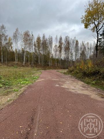 Старая Пустошь дер.