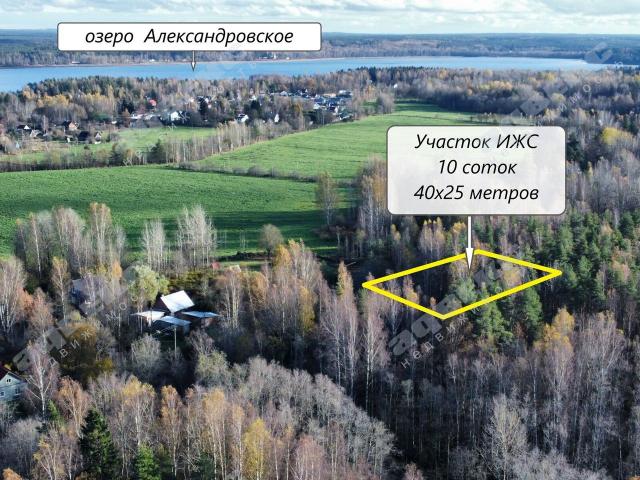 Ленинградская область, Александровка дер.