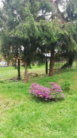 Ленинградская область, Шакицы дер., 27