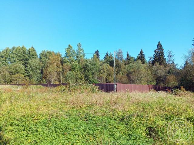 Правдино пос.