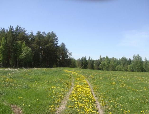 Ленинградская область, Толмачево пос.