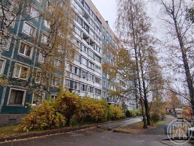 Новое Девяткино дер., Славы ул., д 10