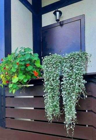 Ленинградская область, Бабино-2 СНТ, 280