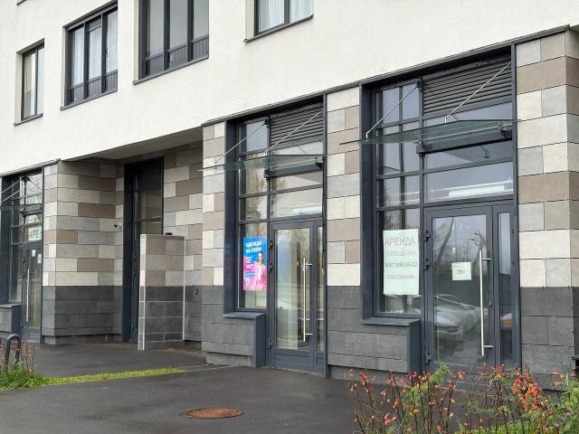 Ветеранов пр., 210