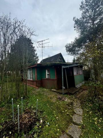 Ленинградская область, Дунай массив, 236