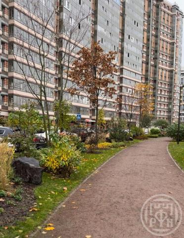 Коломяжский просп., д 13