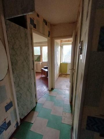 Ленинградская область, Кузьмоловский пгт, Юбилейная ул., 30