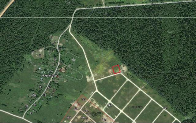 Ленинградская область, Новый Бор дер.