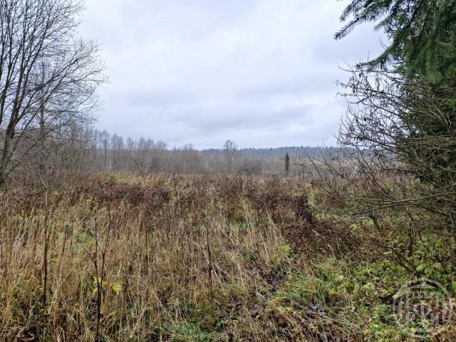 Порожки ур.