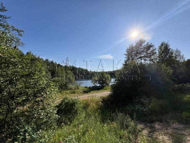 д. Борисова Грива