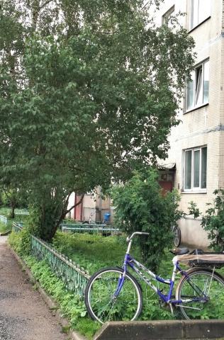 деревня Красноозерное, Школьная улица, 6