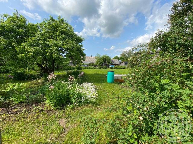 Остроговицы дер., д 74