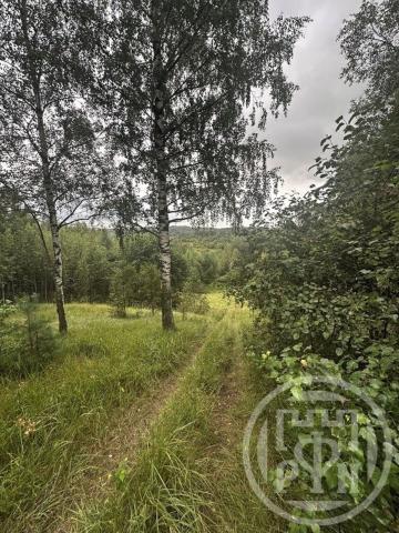 Старая Пустошь дер.