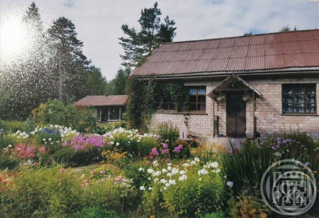 Массив Раздолье пос., Озон снт