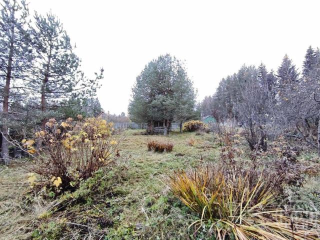 Лебяжье пос.