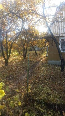 Ленинградская область, Трубников Бор массив, Витамин СНТ, 106