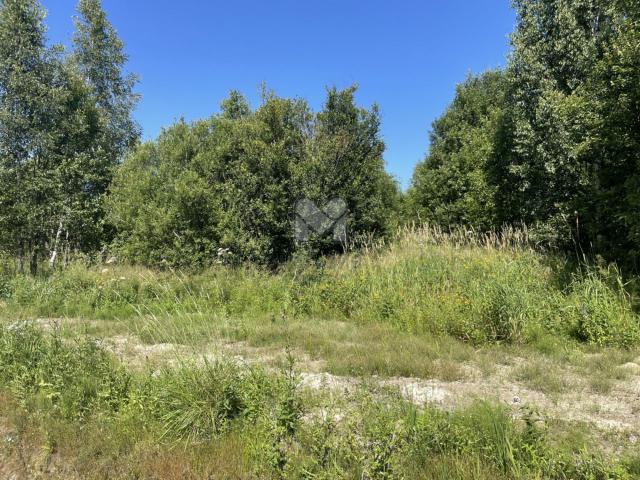 Щеглово пос