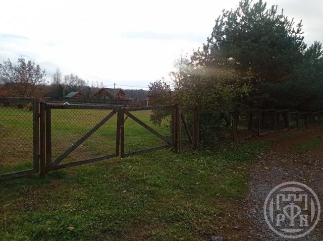 Ромашки пос.