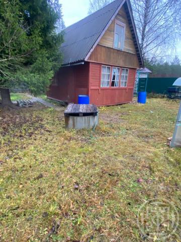 Грузино массив, Грузино -7 снт