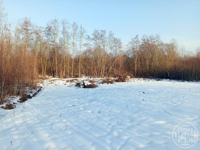 Красносельское пос.