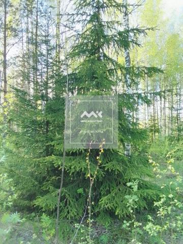 Всеволожск г., Новая ул., 37