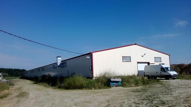 Ленинградская область, Луйсковицы дер., 16