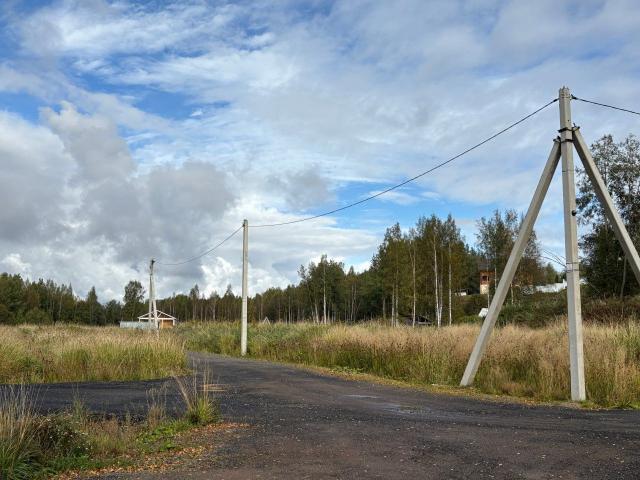 Ленинградская область, Никитилово дер.