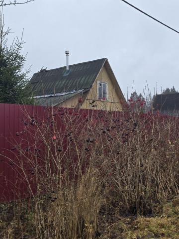 Ленинградская область, Келколово-3 массив, Василеостровец СНТ