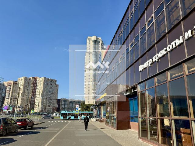 Испытателей проспект, 35