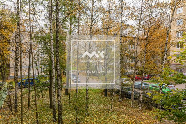 Северный проспект, 77