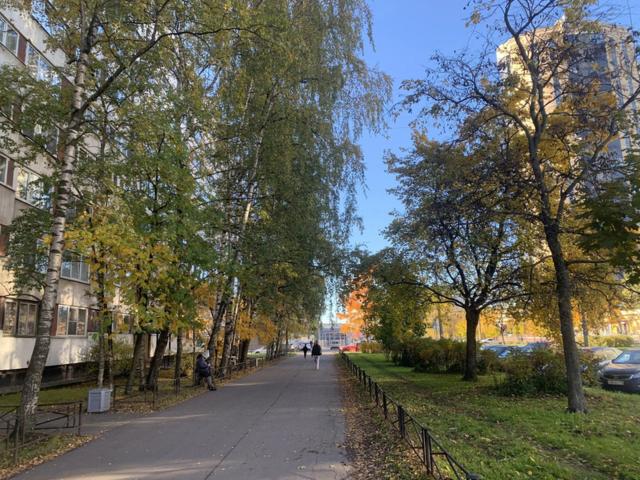 Серебристый бул., 26