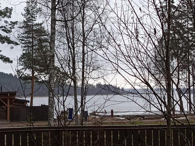 Ленинградская область, Гречухино пос.