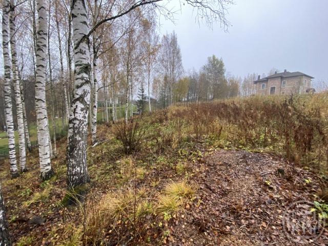 Кавголовское озеро пос.