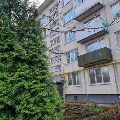 Ленинградская область, Лупполово дер., 4