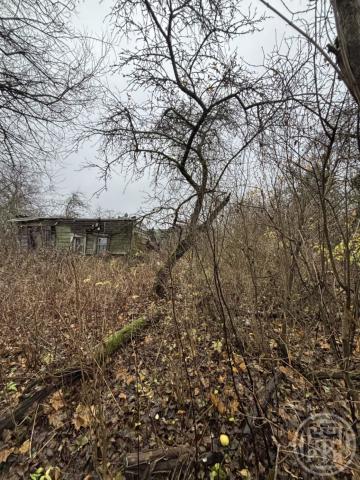 Дубки дер., д 22